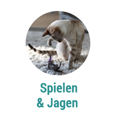 spielen